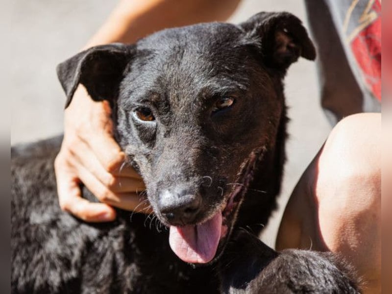 Hana ❤️ wundervolle, liebe Zuckerschnute