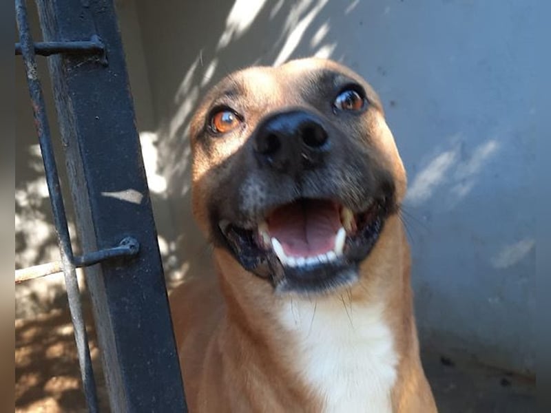 Teddy  wartet schon so lange!