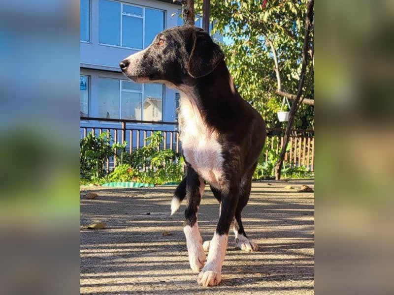 Genießerschnute ♥Mona♥ wartet bereits in 01640 Coswig auf dich/euch