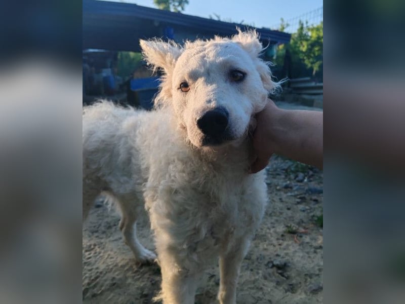 Sensible Jody ♥️ sucht Liebe & Verständnis