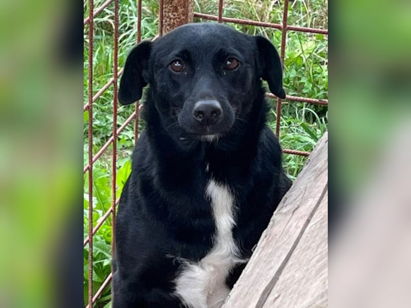 PINA❤️liebe, soziale Schönheit mit Charakter