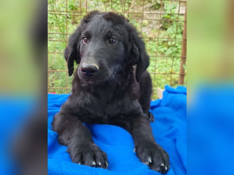 Yuki ❤️ froher, aufgeschlossener Bub!