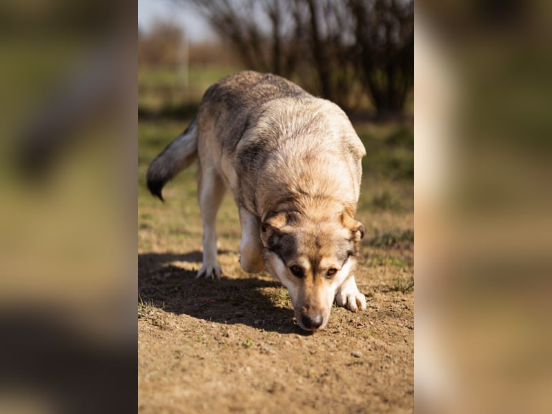 Schöne ♥Sibilla♥ sanft und freundlich