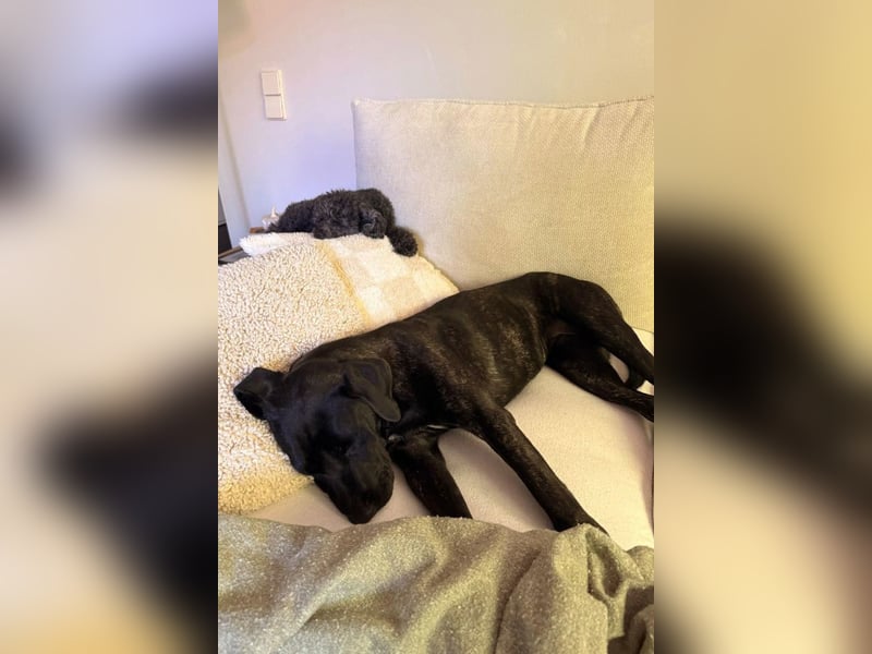 Mika ❤️ wartet in 27419 Klein Meckelsen auf deinen Besuch