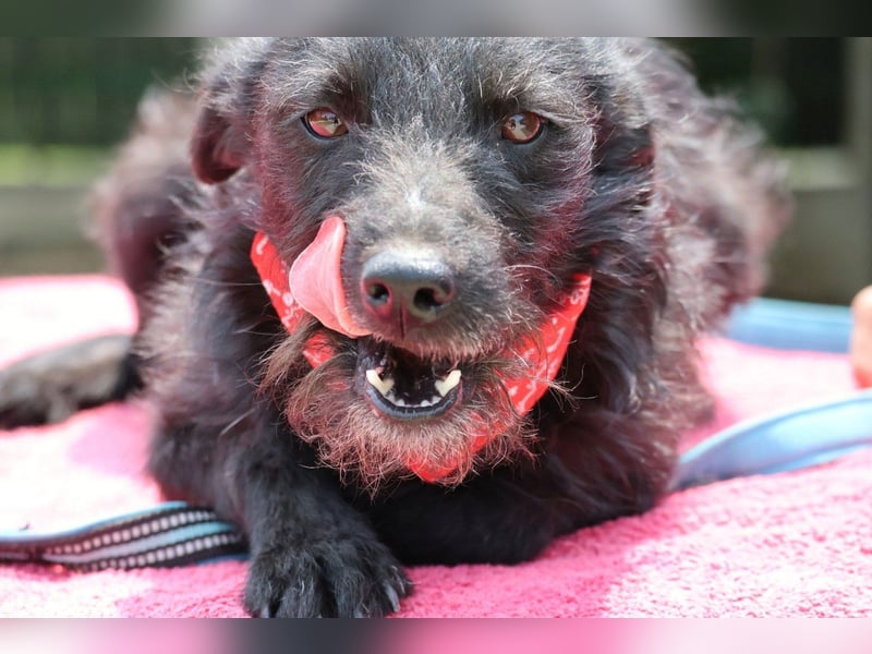 Sanfte ♥Arca♥ sucht Schutz & Liebe so verdient