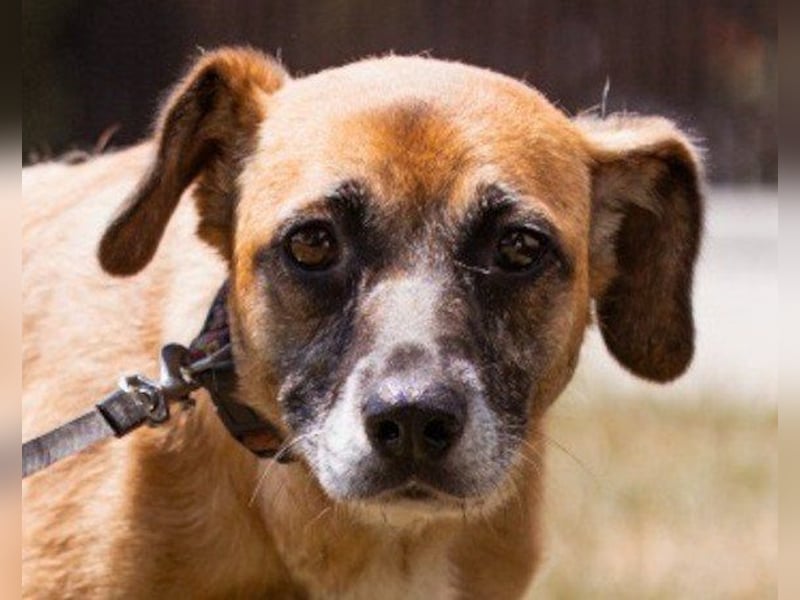 Liebste ♥Senka♥ mit einem großen Herzen