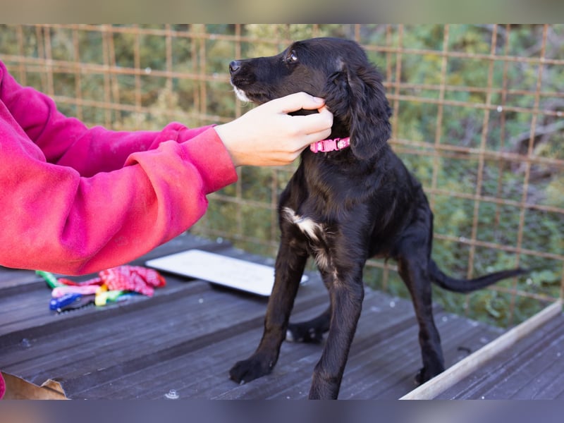 Mila ❤️ so süßes + lebensfrohes Mädchen!