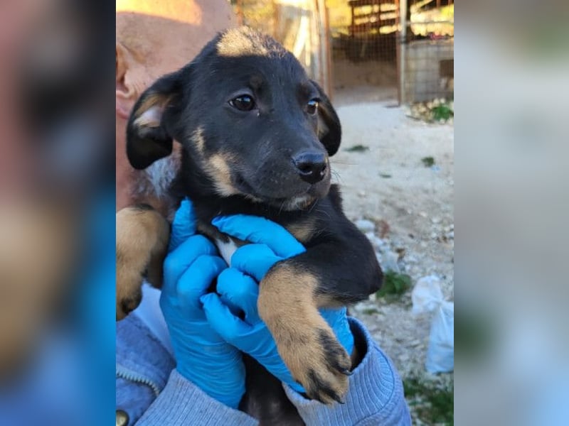 Jonas ❤️ fröhlicher + lebensfroher Schatz!