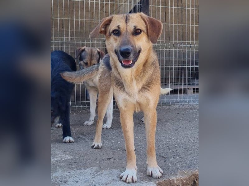 Bezaubernde Sersi wartet auf dich!