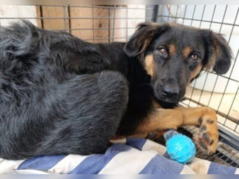 Kleine, schüchterne Vaiana = sucht Liebe und Treue