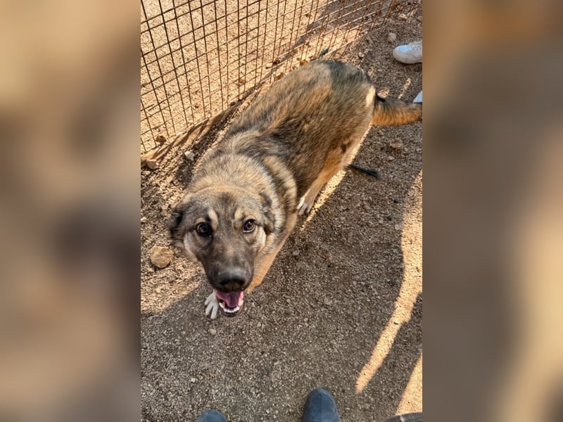 COCO❤️verspielt, sanft und voller Vertrauen: ein Herz für Groß und Klein!