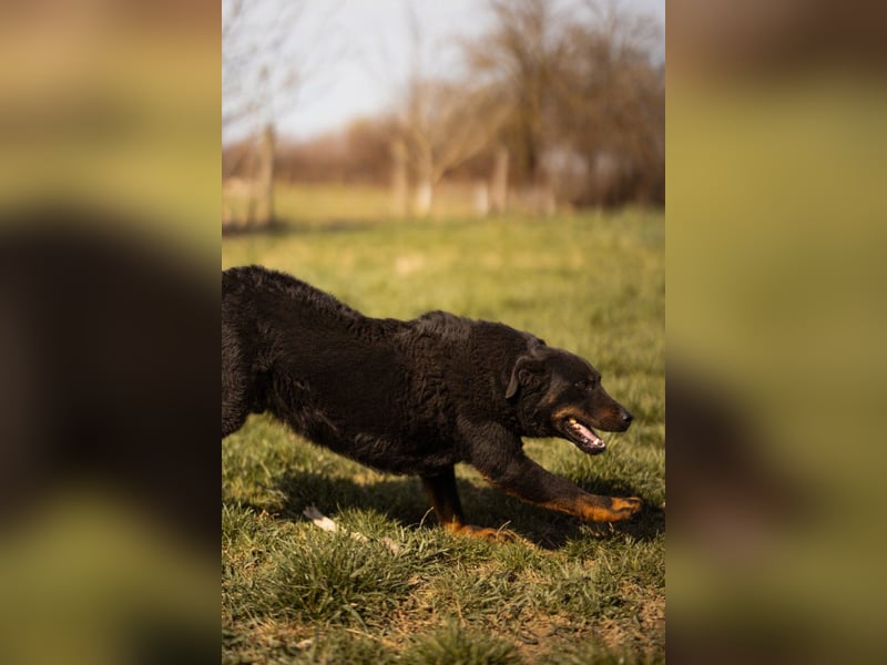 Aktiver Ares sucht seine aktiven Menschen