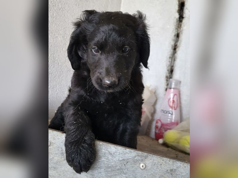 Yuki ❤️ froher, aufgeschlossener Bub!
