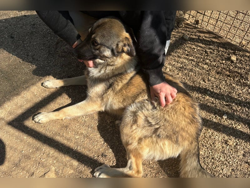 COCO❤️verspielt, sanft und voller Vertrauen: ein Herz für Groß und Klein!