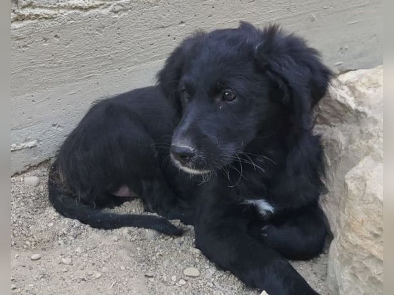 Mila ❤️ so süßes + lebensfrohes Mädchen!