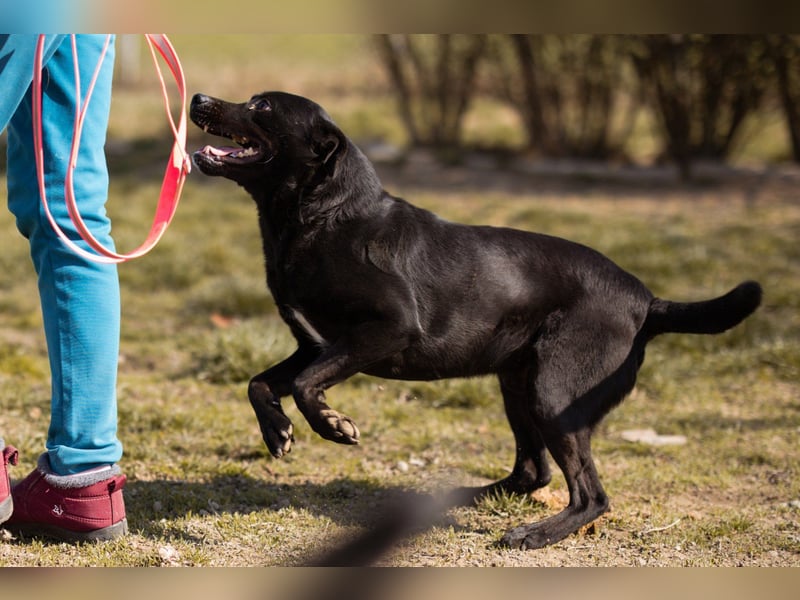 Coolio - wunderbar fröhlicher aktiver Bub