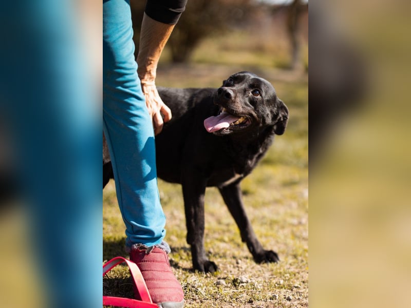 Coolio - wunderbar fröhlicher aktiver Bub