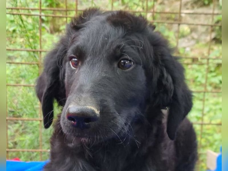 Yuki ❤️ froher, aufgeschlossener Bub!