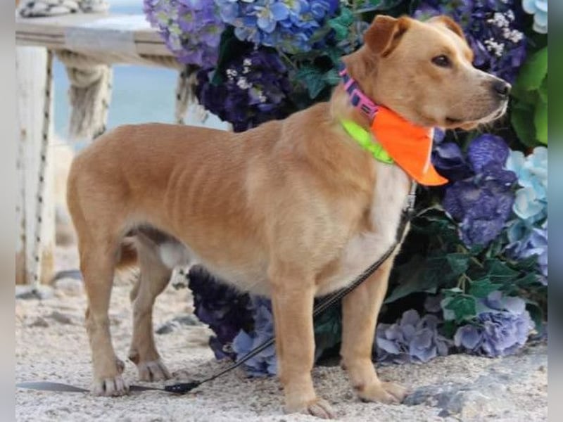 Kika & Max ❤️ gemeinsames Zuhause gesucht