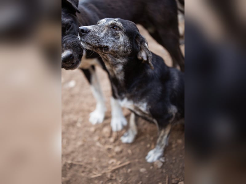 GINA❤️fröhliche, liebevolle und verspielte Flitzpiepe
