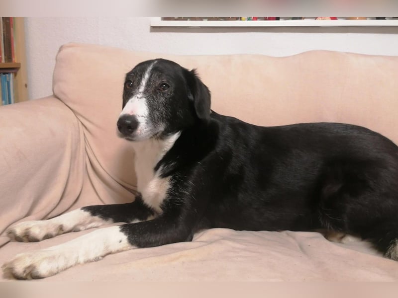 Genießerschnute ♥Mona♥ wartet bereits in 01640 Coswig auf dich/euch