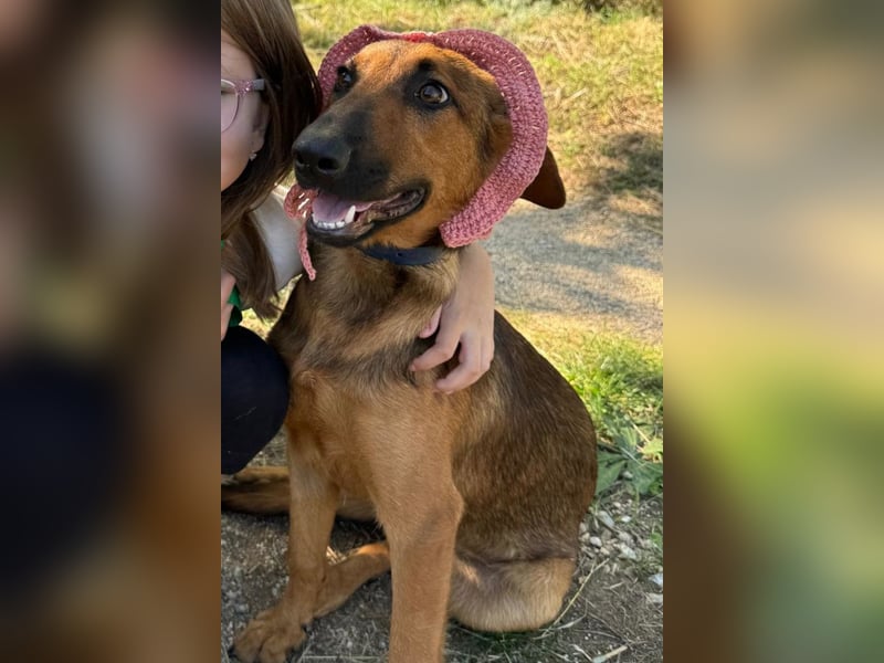 Dragana ❤️ Schmusemaus sucht Zuhause