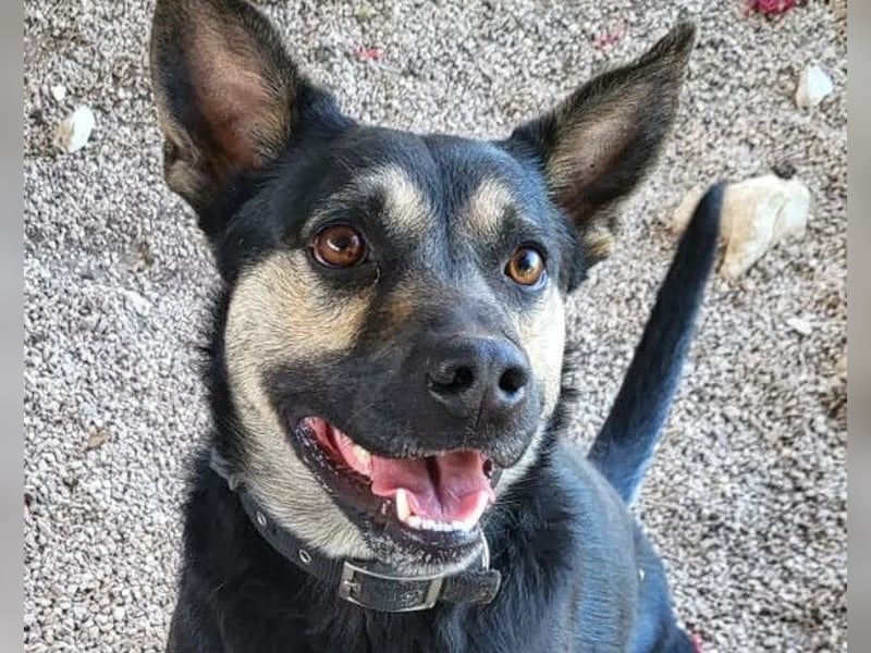 Otto ❤️ so freundlich und verträglich!