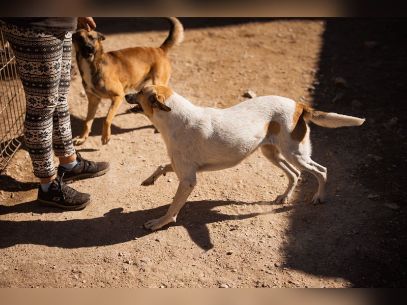 Liebe Nala möchte bei dir einziehen ❤