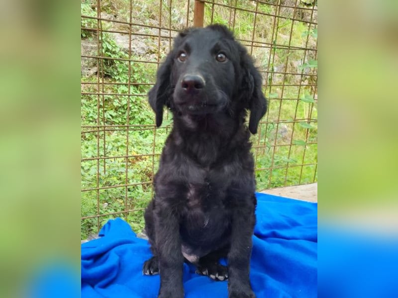 Yuki ❤️ froher, aufgeschlossener junger Bub!
