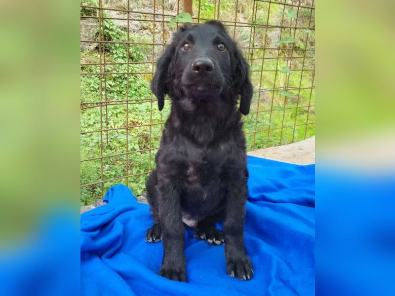 Yuki ❤️ froher, aufgeschlossener junger Bub!