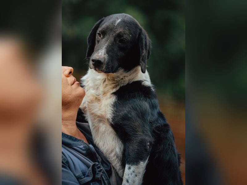 GROF❤️so lieber, anhänglicher Hundejunge
