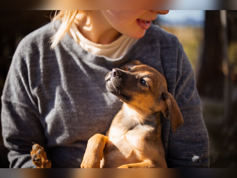 Tilly ❤️ aufgeweckte, lebenslustige Maus