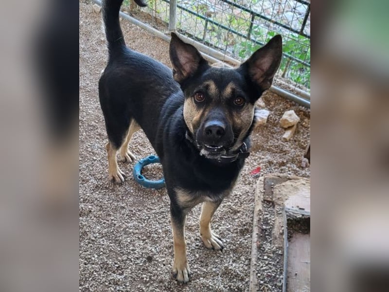 Otto ❤️ so freundlich und verträglich!