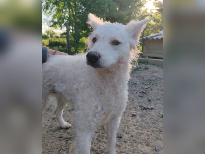 Sensible Jody ♥️ sucht Liebe & Verständnis