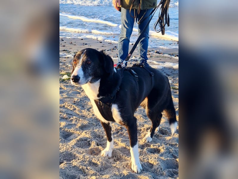 Genießerschnute ♥Mona♥ wartet bereits in 01640 Coswig auf dich/euch