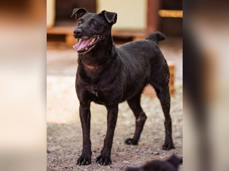 ♥Hana♥ wundervolle, liebe Zuckerschnute