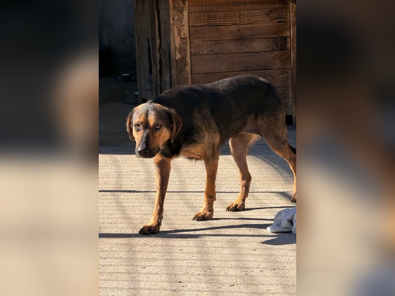 Wundervolle Aylini sucht eine Familie