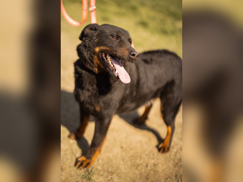 Aktiver ♥Ares♥ sucht aktive Menschen