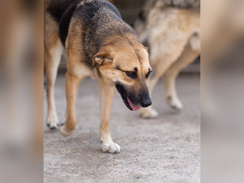 Bezaubernde Sersi wartet auf dich!