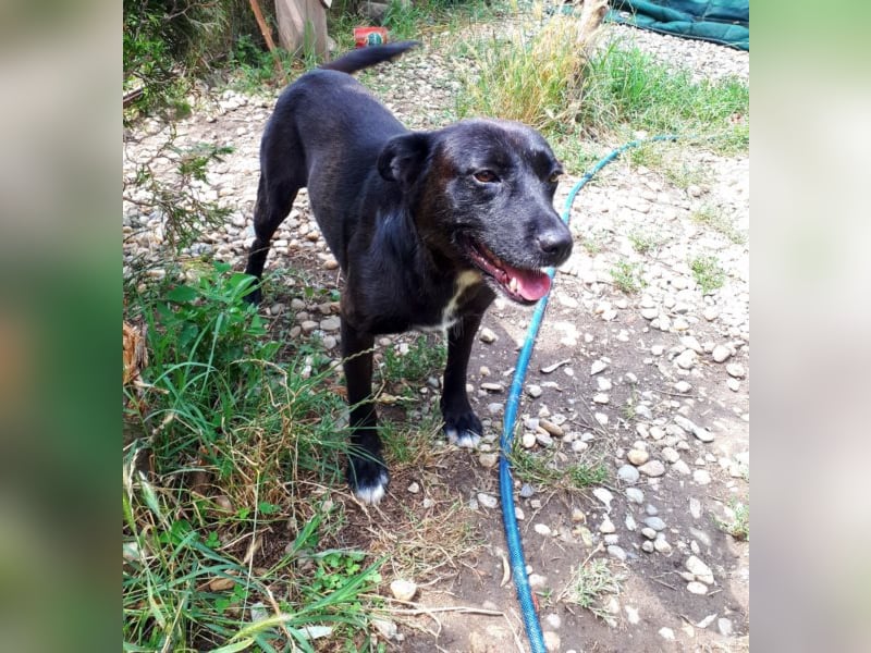 Leben pur - unsere Lotte <3