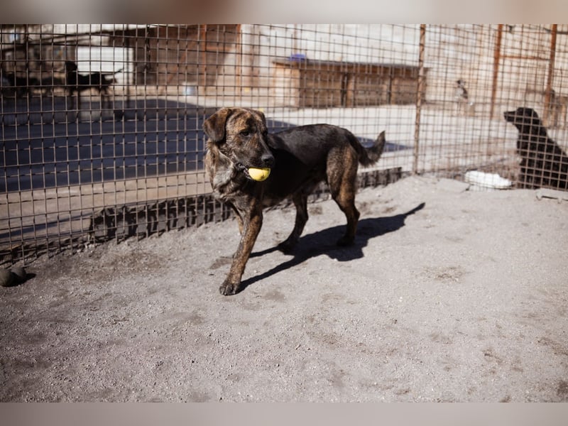 Ludwig ❤️ unser lieber Herzensbrecher Ludwig ❤️ unser lieber Herzensbrecher