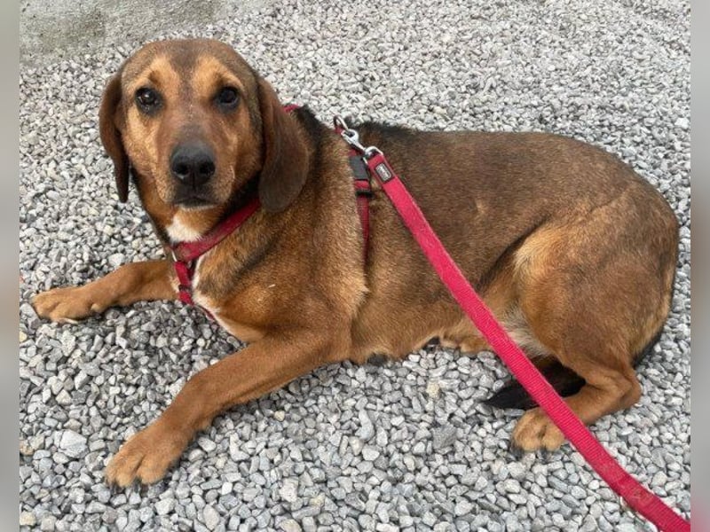 Mama Reina: pures Fellherz aus Liebe