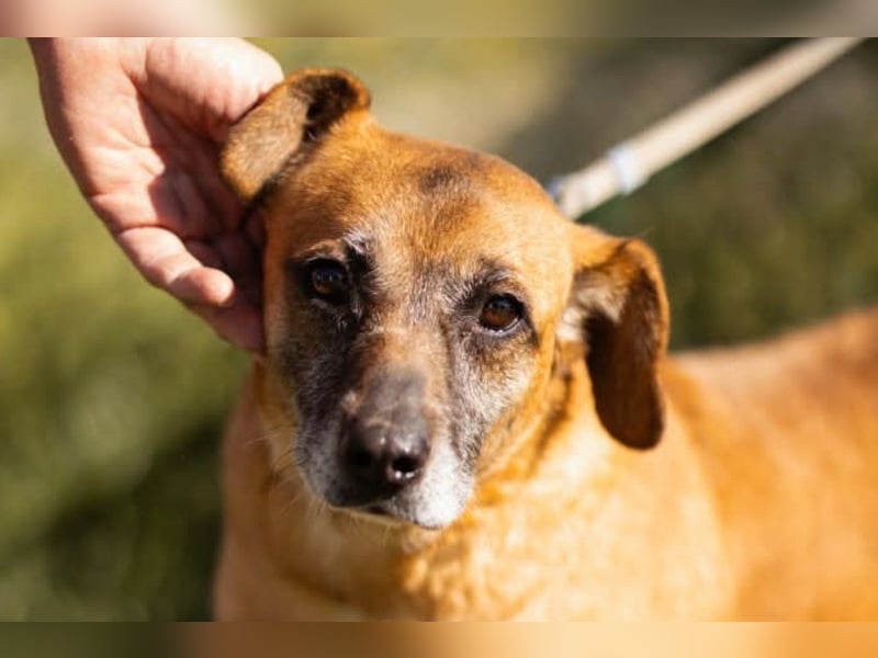 Liebste ♥Senka♥ mit einem großen Herzen