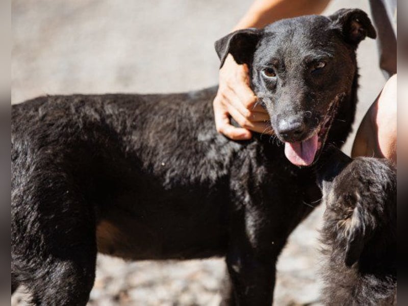 ♥Hana♥ wundervolle, liebe Zuckerschnute