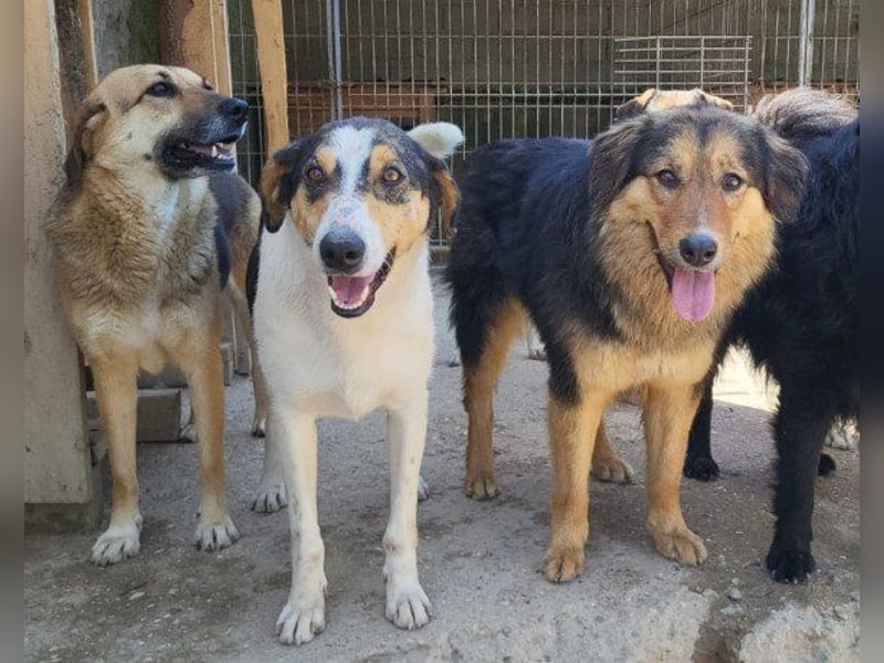 Bezaubernde Sersi wartet auf dich!