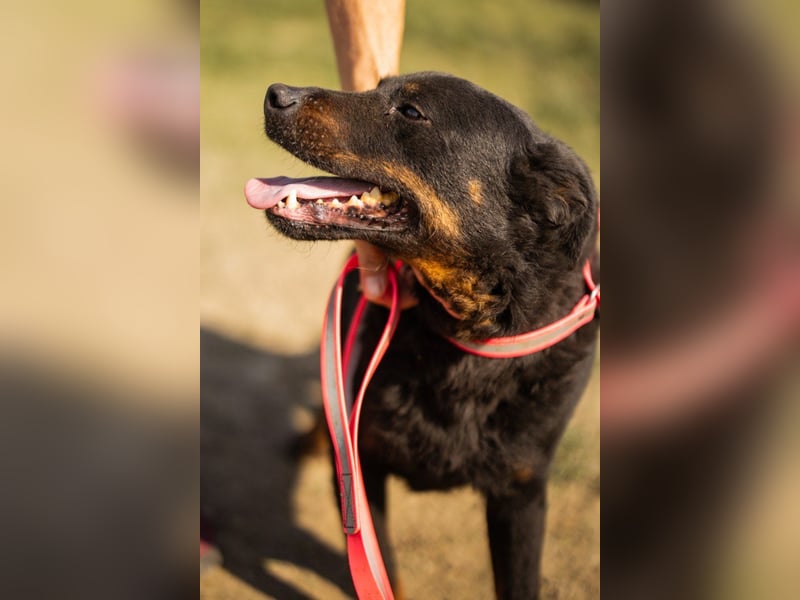 Aktiver ♥Ares♥ sucht aktive Menschen