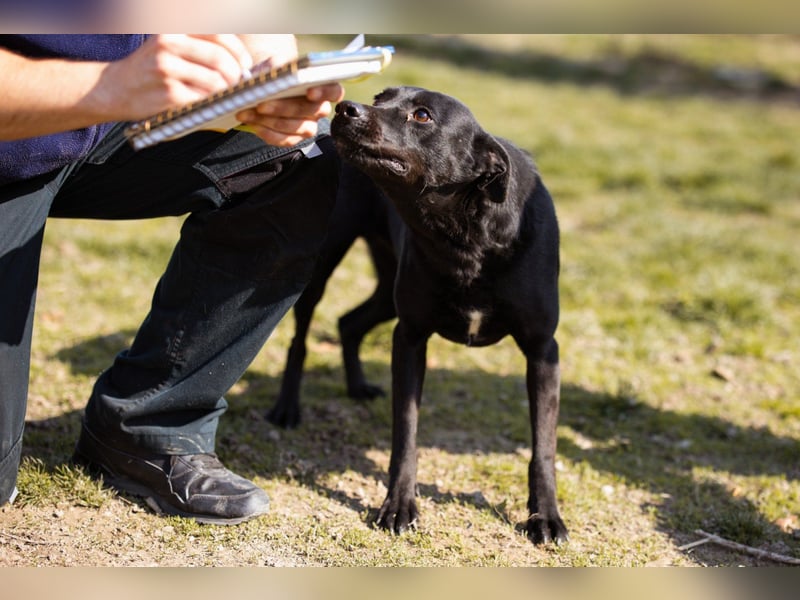 Coolio - wunderbar fröhlicher aktiver Bub