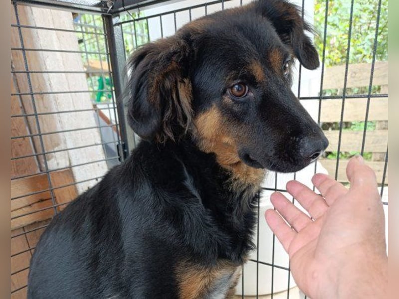 Kleine, schüchterne Vaiana = sucht Liebe und Treue