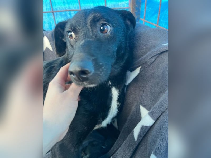 PINA❤️liebe, soziale Schönheit mit Charakter