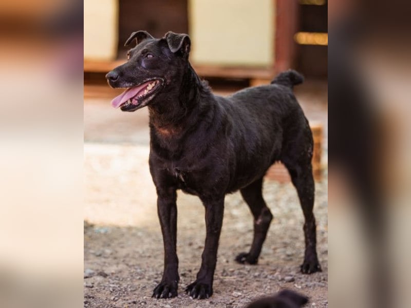 Hana ❤️ wundervolle, liebe Zuckerschnute